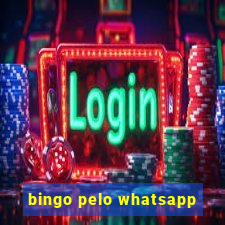 bingo pelo whatsapp